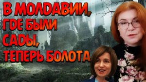 ЧАТ РУЛЕТКА. ПРИЯТНАЯ ЖЕНЩИНА ИЗ ПРИДНЕСТРОВЬЯ РАССКАЗЫВАЕТ О БЕДАХ МОЛДАВАН.