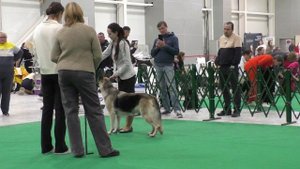 Вео Жар Дин Бронислава