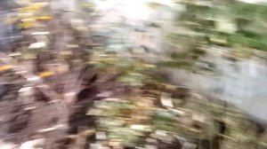 подвои есть излишки для яблони и груши.