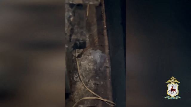 Около 2 килограммов наркотиков изъято полицейскими в Нижегородской области смотреть онлайн