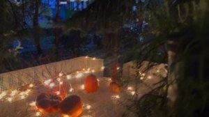 А вот и видео из супер-переговорки под открытым небом подъехало! ⚡️