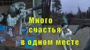 СКОЛЬКО СЧАСТЬЯ В ОДНОМ МЕСТЕ / ПРОГУЛКА ПРОДОЛЖАЕТСЯ / 28 октября 2025 год