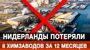 Нидерланды потеряли 8 химзаводов за 12 месяцев