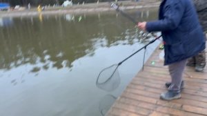 Поимки форели!!!