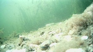 1000004476.mp4Волга гл.1м.06.11.2025г.