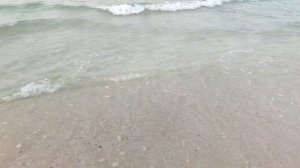 И снова отлив 06.11.25.