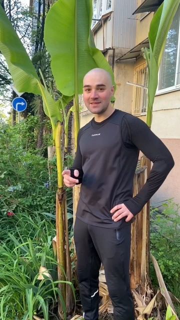 Листья фараона