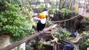 Green Planet 06.11.25