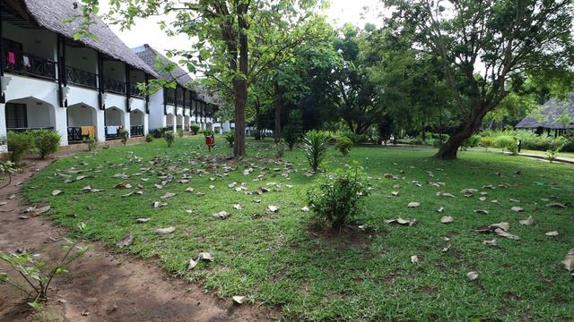 Отель Papillon Lagoon Reef в Кении – Рай на берегу океана 🌴