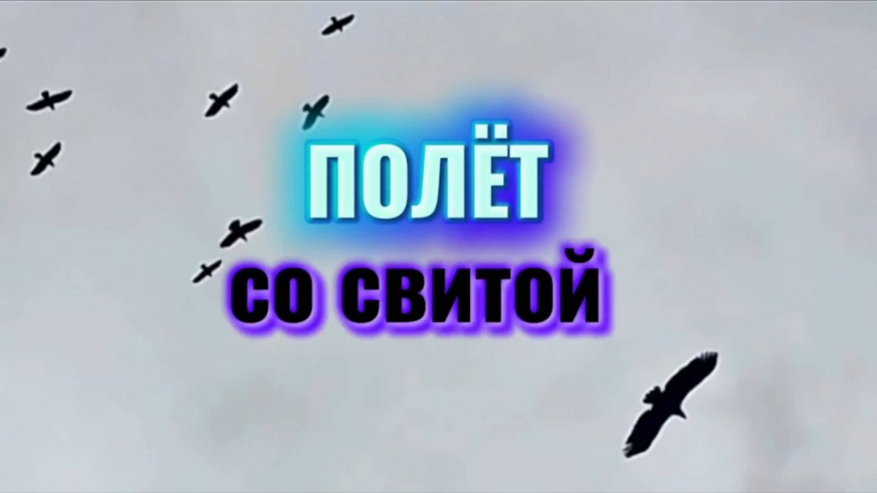 ПОЛЁТ со СВИТОЙ #природа, #созерцаниеприроды, #полет, #птицы