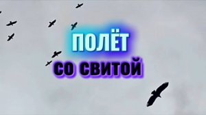 ПОЛЁТ со СВИТОЙ #природа, #созерцаниеприроды, #полет, #птицы