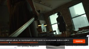 Сторонница ЛГБТ* зарубила жену катаной и получила 37 лет тюрьмы