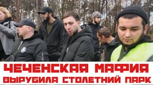 Чеченская мафия вырубила столетний парк в Москве