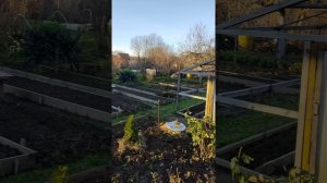 05-11-2025 дачные сезон в ноябре