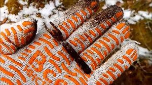 АРХИВ. Шмурдокоп, или день шмурдиолога.