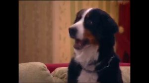 Гена букин хип-хоп