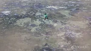 Deku, Bakugo & Endeavor Vs. shigaraki「AMV」Monster