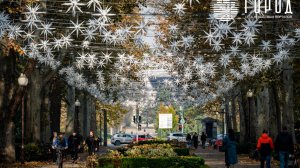 Сергей Галицкий украшает улицу Красную в Краснодаре к Новому году 2026