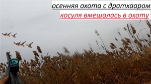охота на утку и куропатку с подхода пошла не по плану
