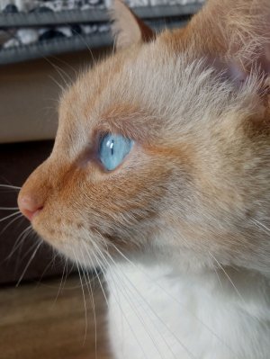 снимаю видео для самых лучших подписчиков