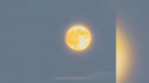 Ночью можно было увидеть самое крупное и яркое полнолуние в году