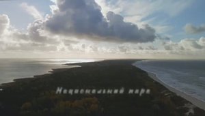 Земельный участок  с домом под реконструкцию на территории национального парка "Куршская коса"