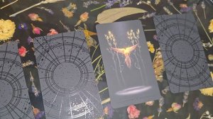 КАКАЯ ВЫ СЕЙЧАС ТАРО  🧜♀️🧙♀️ расклад