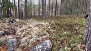 Курганы Карелия