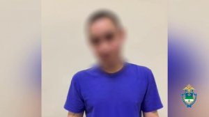 Полиция Коми вычислила пять дропперов, через счета которых прошли 5 млн рублей обманутой сыктывкарки