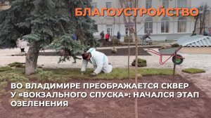 Во Владимире преображается сквер у «Вокзального спуска»: начался этап озеленения