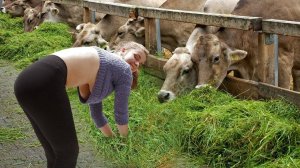 ✅ СМЕШНЫЕ ЖИВОТНЫЕ — ПРИКОЛЫ, КОТОРЫЕ ЗАЛЕТЕЛИ В СЕТЬ! 🐾