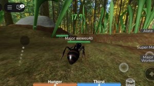 СТАЛ МУРАВЬЁМ И ПУТЕШЕСТВОВАЛ