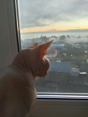 вторая часть про то как я провожу свой вечер одна