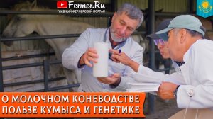 Дойка кобыл и генетика молочности. Наука и селекция. Молочное коневодство Казахстана. Кумызхана