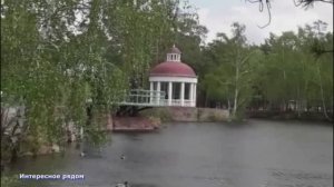 Уточки в парке