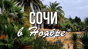 Отдых в Сочи в ноябре