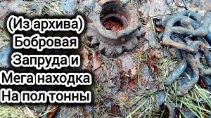 Находка на пол тонны:Бобры добры