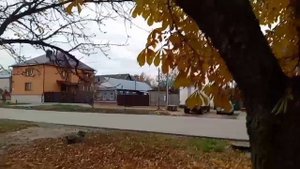 ПРОГУЛКА УТРЕННЯЯ