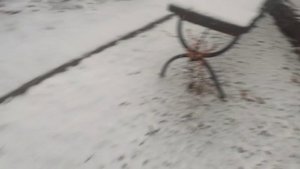 снег в ноибре