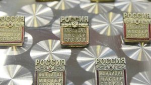 Самарских спортсменов отметили за выдающиеся достижения