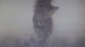 ШУТКА  : Ежик в тумане и блогеры          ПОДПИШИСЬ