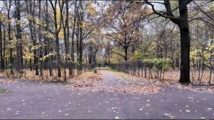 Осень в Кусково 2025: прогулка по парку и музею среди золотых листьев 🍁🏛️