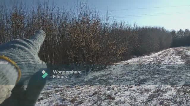 АРХИВ. КУПИЛИ УЧАСТОК В ДЕРЕВНЕ 1!  Пилим наш лес)