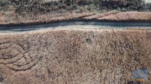 Осенний ковыль (Whisper)(разделения на переходах кадров)(45Мбс)(30к-с)(с Лого)