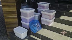 На Камчатке полицейские пресекли деятельность по незаконному обороту водных биоресурсов