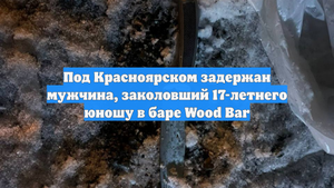 Под Красноярском задержан мужчина, заколовший 17-летнего юношу в баре Wood Bar