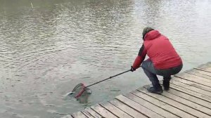 Форелька на резину