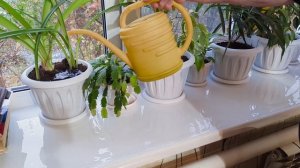 Осень.Стихи.