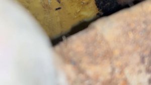 Дом серии КОПЭ 87 , лопнула канализация чугун 110