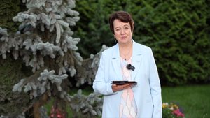 3697. Хлеб на каждый день. 10 ноября. Псалом 91:2